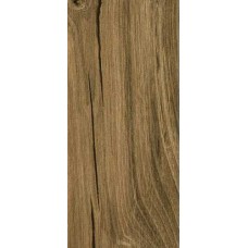 Gresie Treverkfusion 10x70